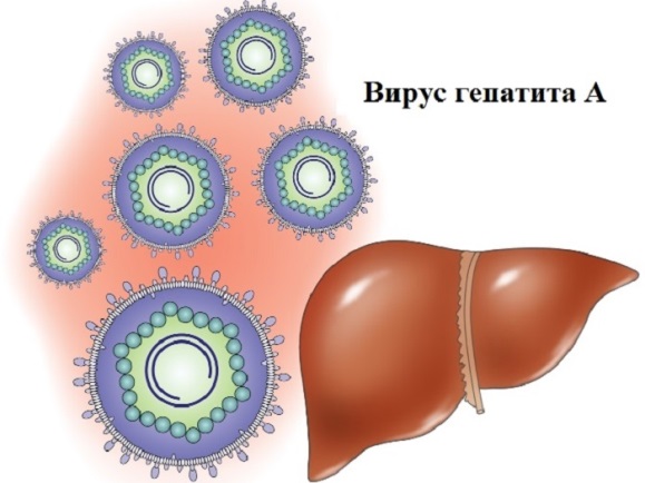 Гепатиты бывают разные